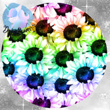 *PRE-ORDER* Signature Coords: Rainbow Sunflowers